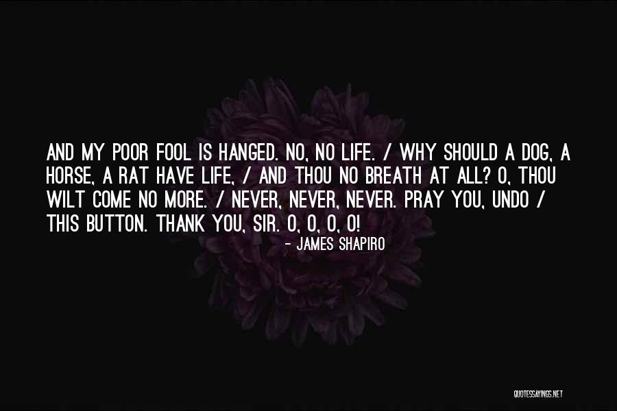 More Fool You Quotes By James Shapiro