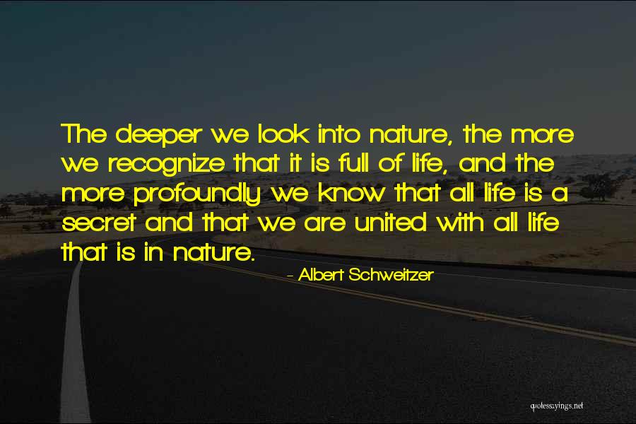 More Inspirational Quotes By Albert Schweitzer More Inspirational Quotes By Albert Schweitzer