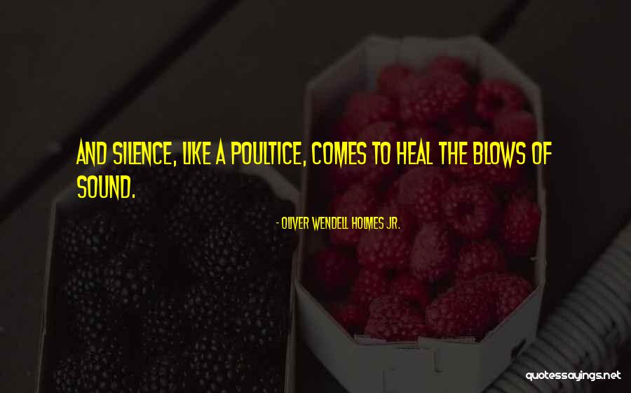 More Like A Poultice Quotes By Oliver Wendell Holmes Jr. More Like A Poultice Quotes By Oliver Wendell Holmes Jr.