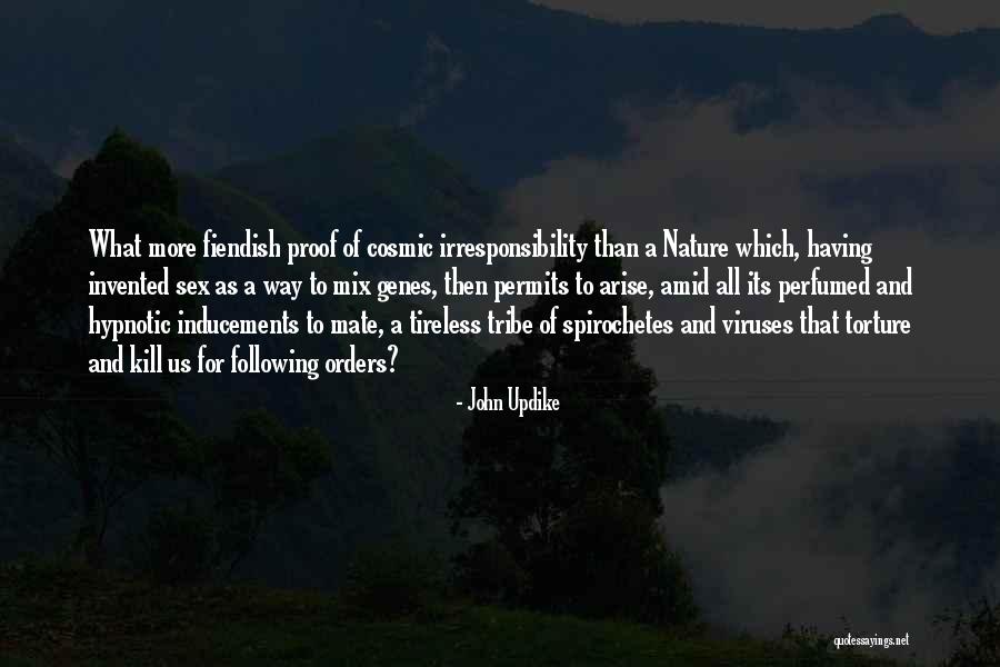 More Orders To Come Quotes By John Updike More Orders To Come Quotes By John Updike