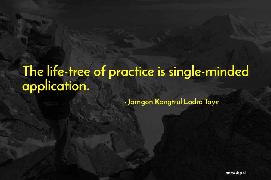 More Practice Makes Perfect Quotes By Jamgon Kongtrul Lodro Taye More Practice Makes Perfect Quotes By Jamgon Kongtrul Lodro Taye