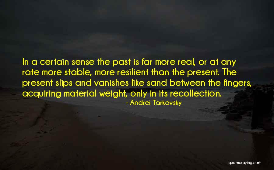 More Resilient Quotes By Andrei Tarkovsky More Resilient Quotes By Andrei Tarkovsky