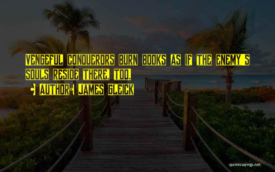 More Than Conquerors Quotes By James Gleick