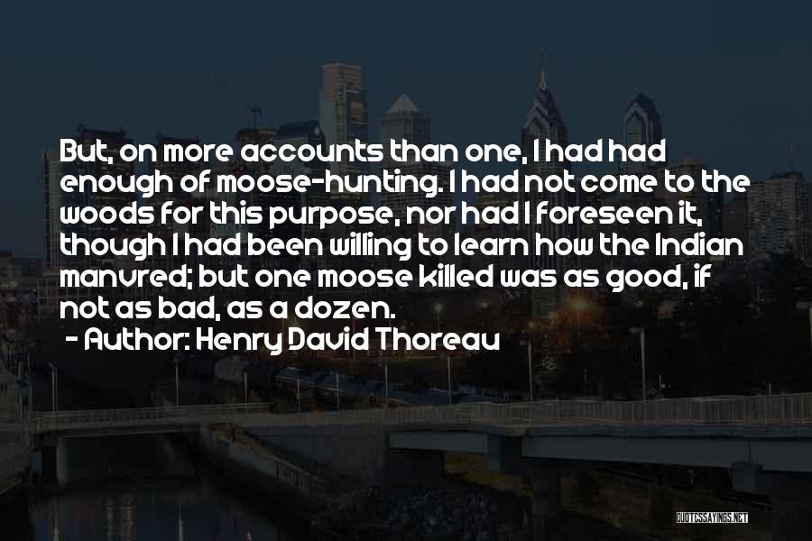 More Than Good Enough Quotes By Henry David Thoreau