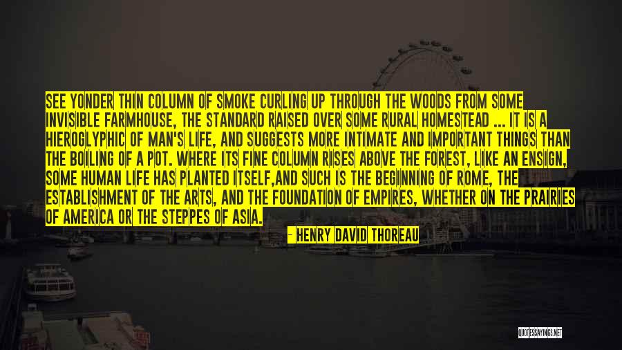 More Than Life Itself Quotes By Henry David Thoreau More Than Life Itself Quotes By Henry David Thoreau
