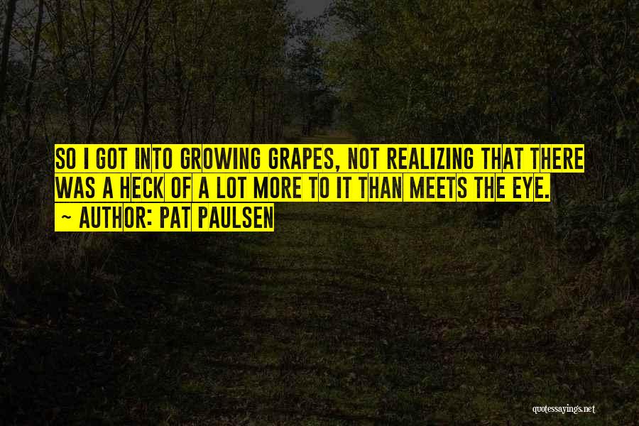More Than Meets The Eye Quotes By Pat Paulsen
