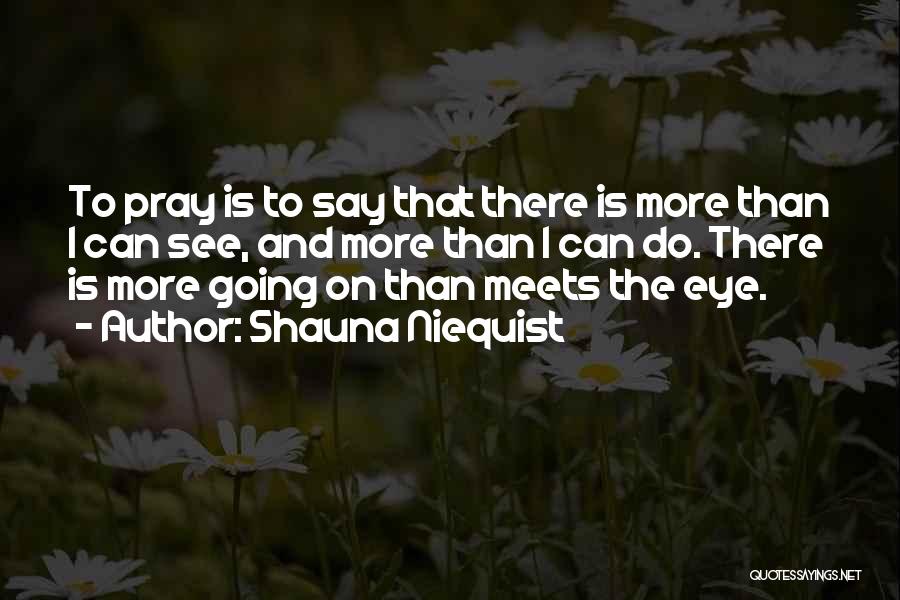 More Than Meets The Eye Quotes By Shauna Niequist