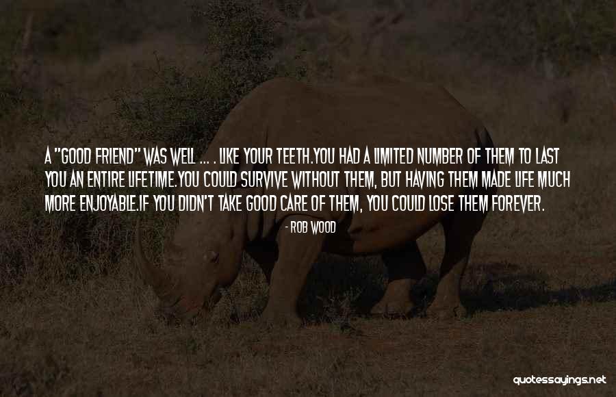 More To Life Quotes Quotes By Rob Wood More To Life Quotes Quotes By Rob Wood