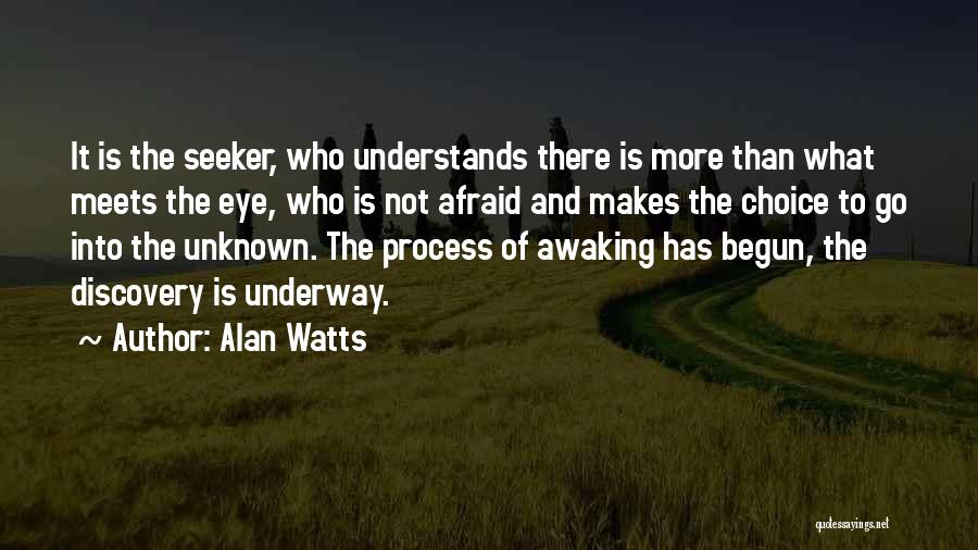 More To Me Than Meets The Eye Quotes By Alan Watts