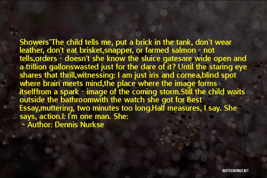 More To Me Than Meets The Eye Quotes By Dennis Nurkse