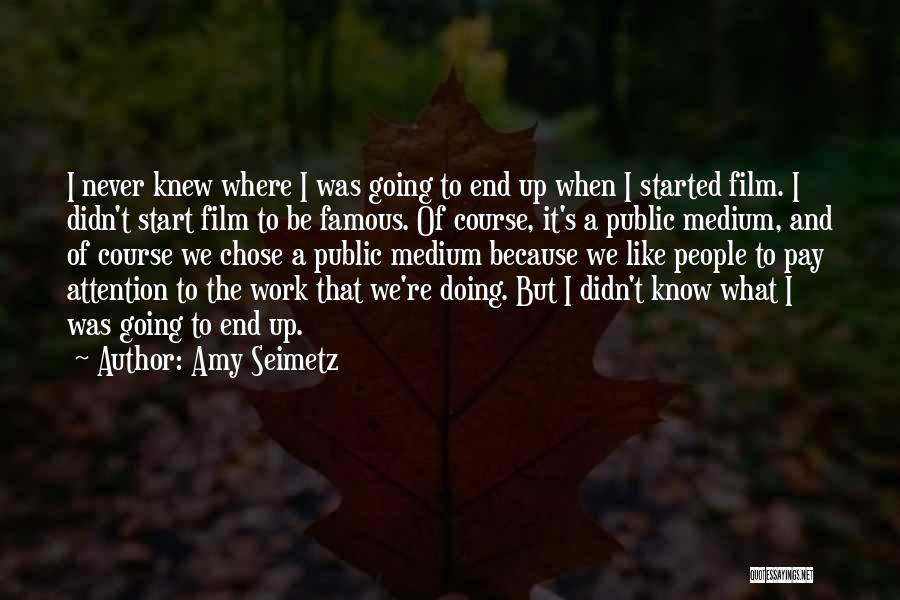 More Work Less Pay Quotes By Amy Seimetz