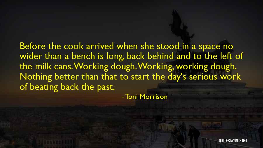 Morecambe Weather Quotes By Toni Morrison Morecambe Weather Quotes By Toni Morrison