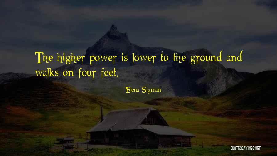 Morehouse Man Quotes By Elena Sigman Morehouse Man Quotes By Elena Sigman