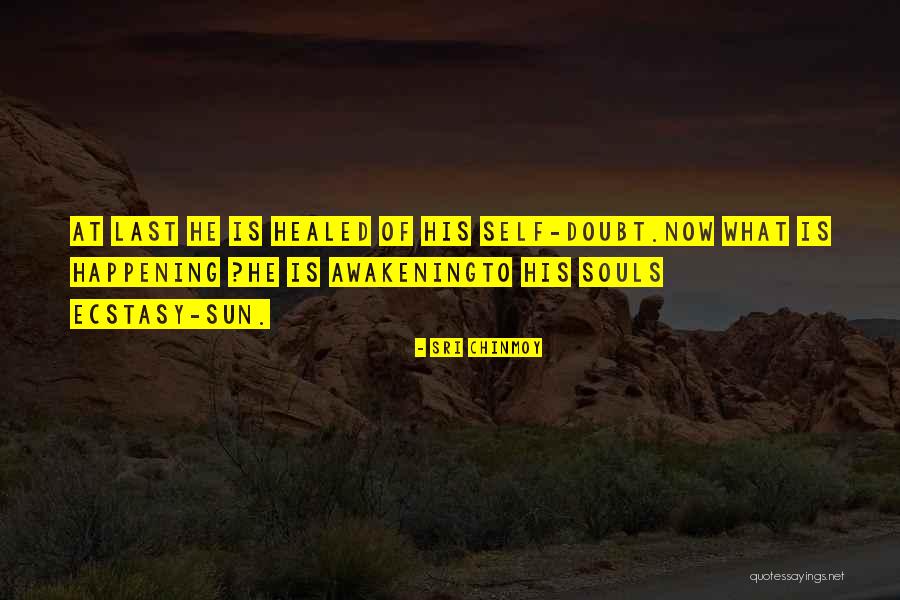 Morella Pensylvanica Quotes By Sri Chinmoy Morella Pensylvanica Quotes By Sri Chinmoy