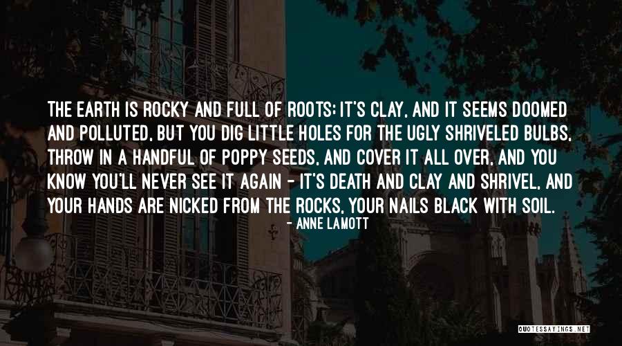 Morello Cherries Quotes By Anne Lamott Morello Cherries Quotes By Anne Lamott