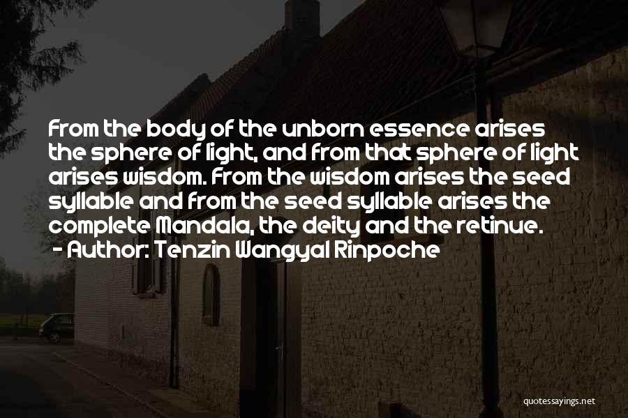 Morenikeji Mi Quotes By Tenzin Wangyal Rinpoche