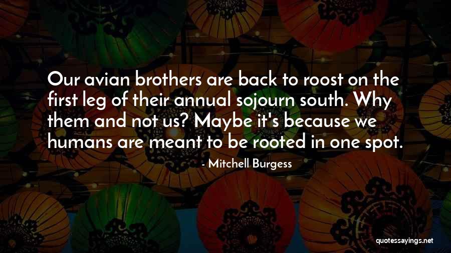 Morenos Guapos Quotes By Mitchell Burgess Morenos Guapos Quotes By Mitchell Burgess