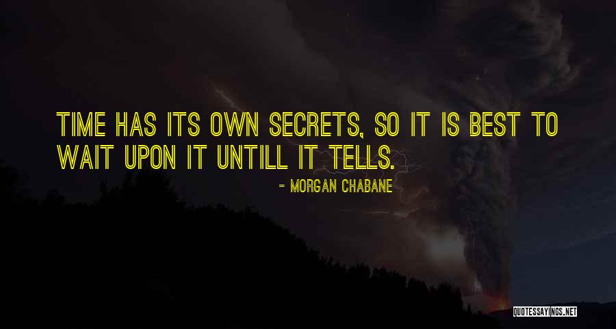 Morgan Chabane Quotes 1375289