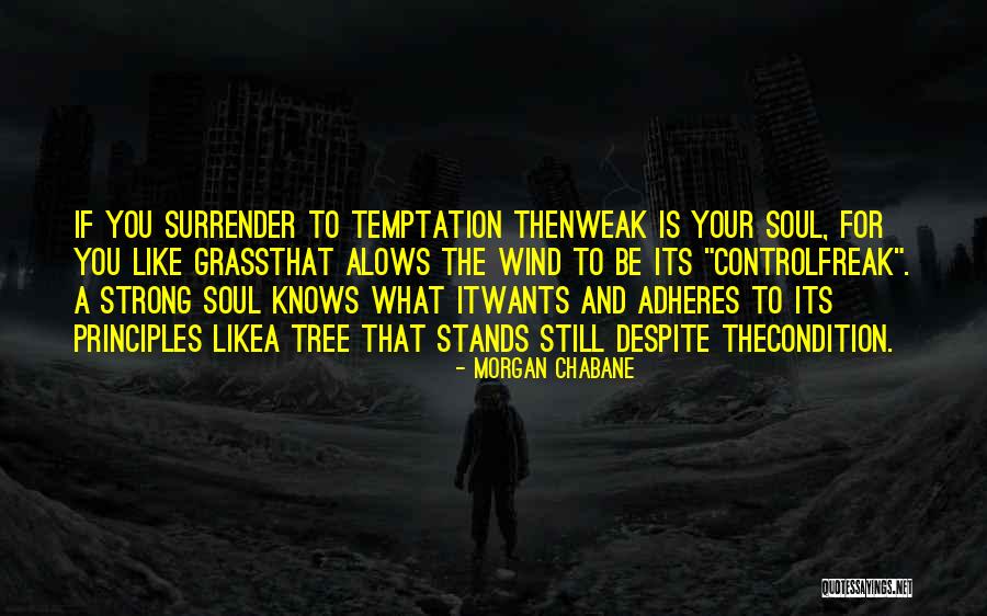 Morgan Chabane Quotes 722419 Morgan Chabane Quotes 722419