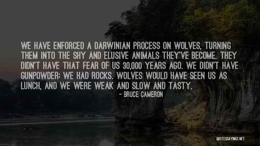 Morgan Lake Quotes By Bruce Cameron Morgan Lake Quotes By Bruce Cameron