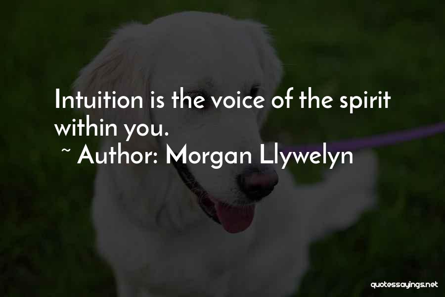 Morgan Llywelyn Quotes 1357668