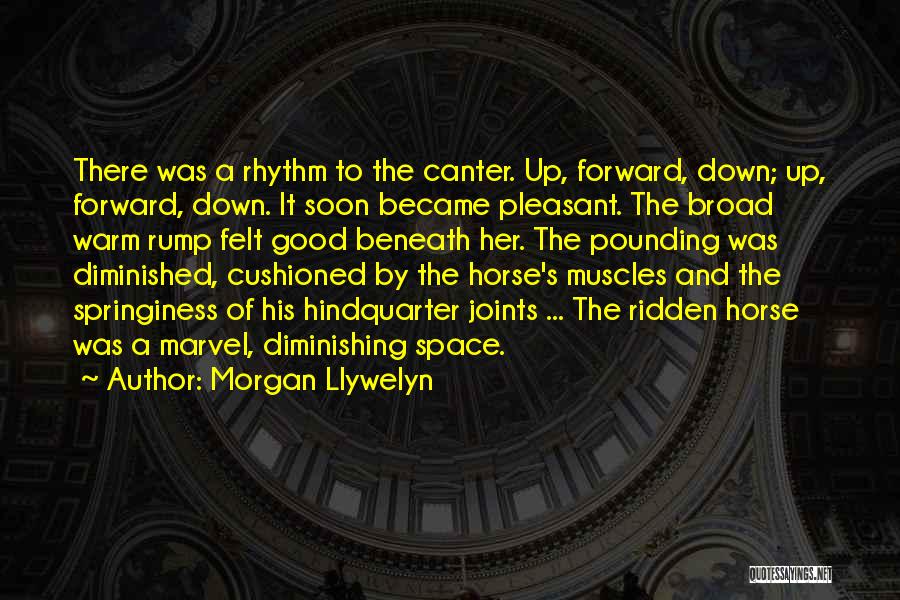 Morgan Llywelyn Quotes 555351