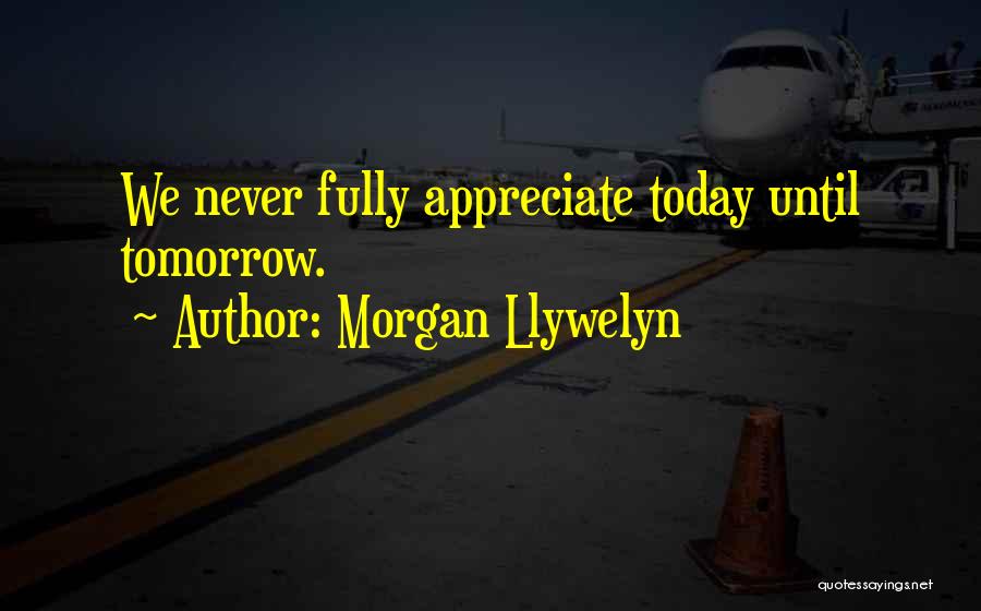 Morgan Llywelyn Quotes 584671