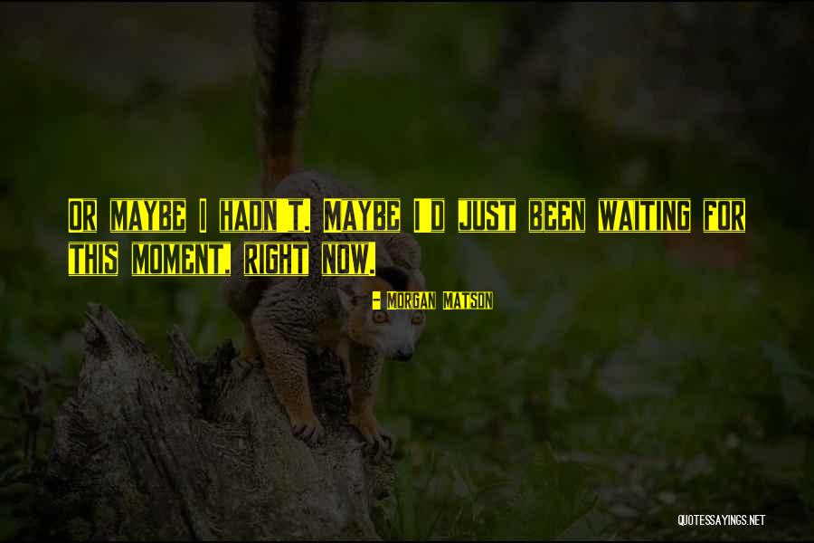 Morgan Matson Quotes 135519