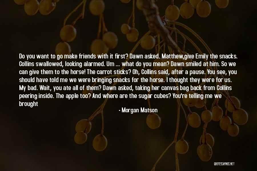 Morgan Matson Quotes 451874 Morgan Matson Quotes 451874
