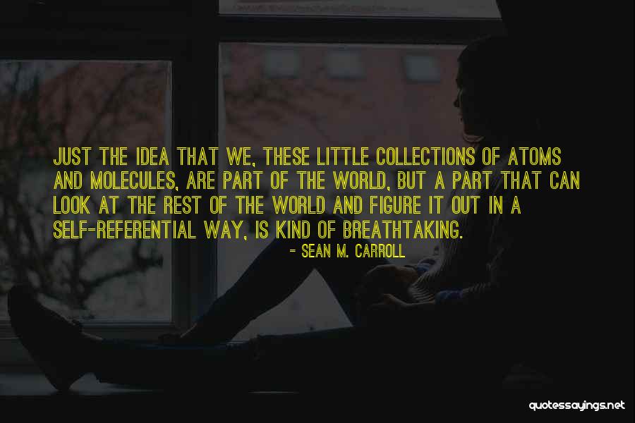 Morganstein Defalcis Quotes By Sean M. Carroll
