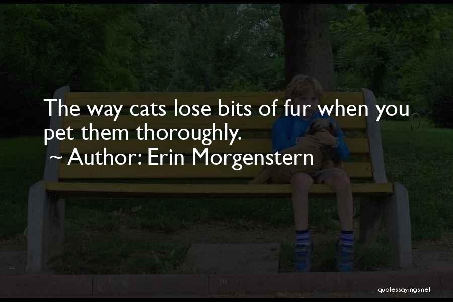 Morgenstern Quotes By Erin Morgenstern