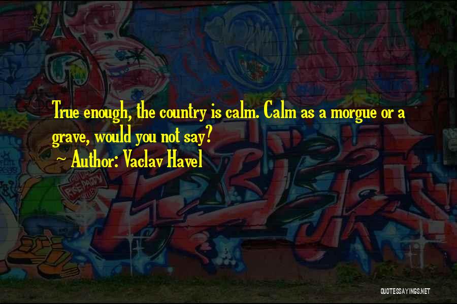 Morgue Quotes By Vaclav Havel