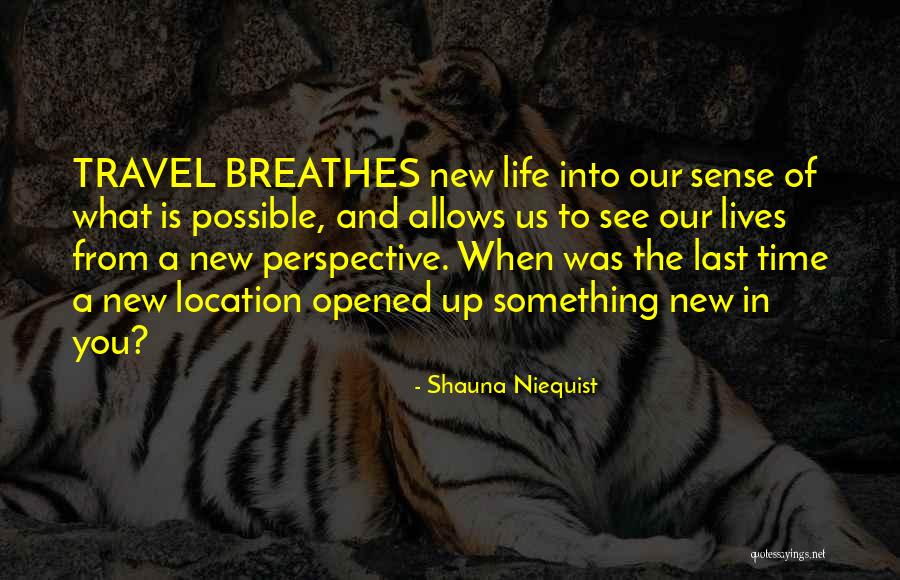 Morhaime Blizzard Quotes By Shauna Niequist Morhaime Blizzard Quotes By Shauna Niequist