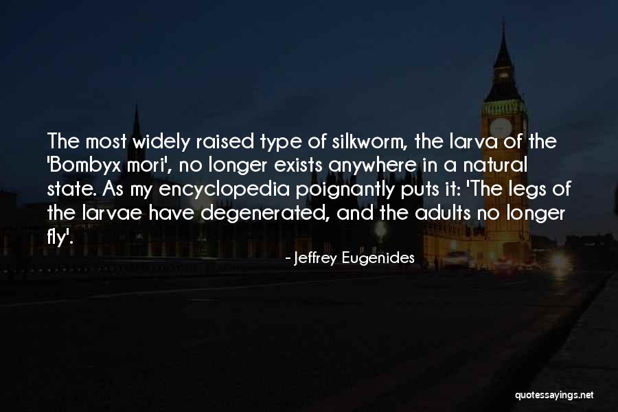 Mori Quotes By Jeffrey Eugenides Mori Quotes By Jeffrey Eugenides