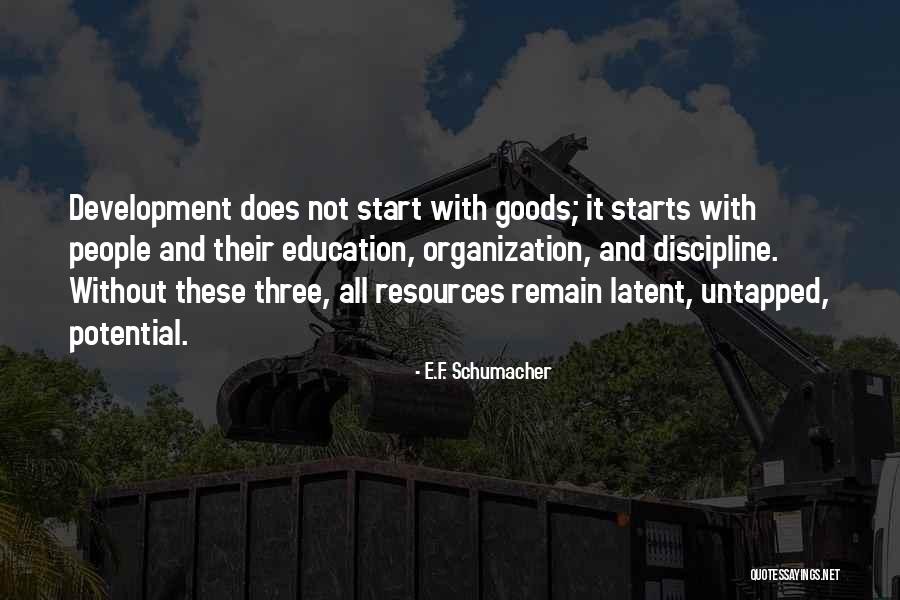 Moriah Pereira Quotes By E.F. Schumacher Moriah Pereira Quotes By E.F. Schumacher