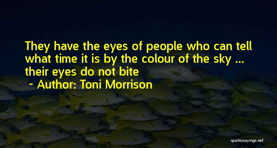 Morientes Soccer Quotes By Toni Morrison