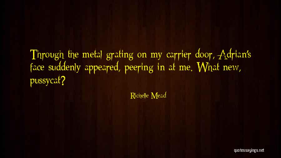 Morigins Quotes By Richelle Mead Morigins Quotes By Richelle Mead