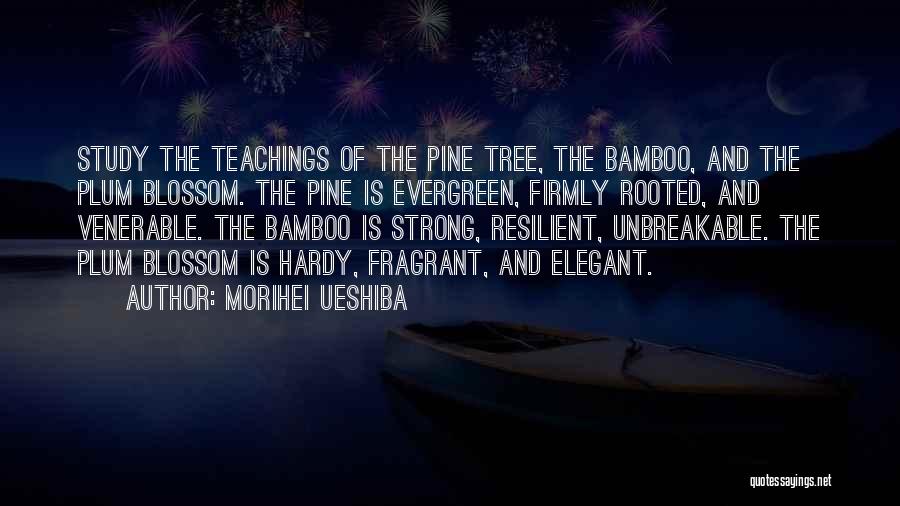 Morihei Ueshiba Quotes 1234001