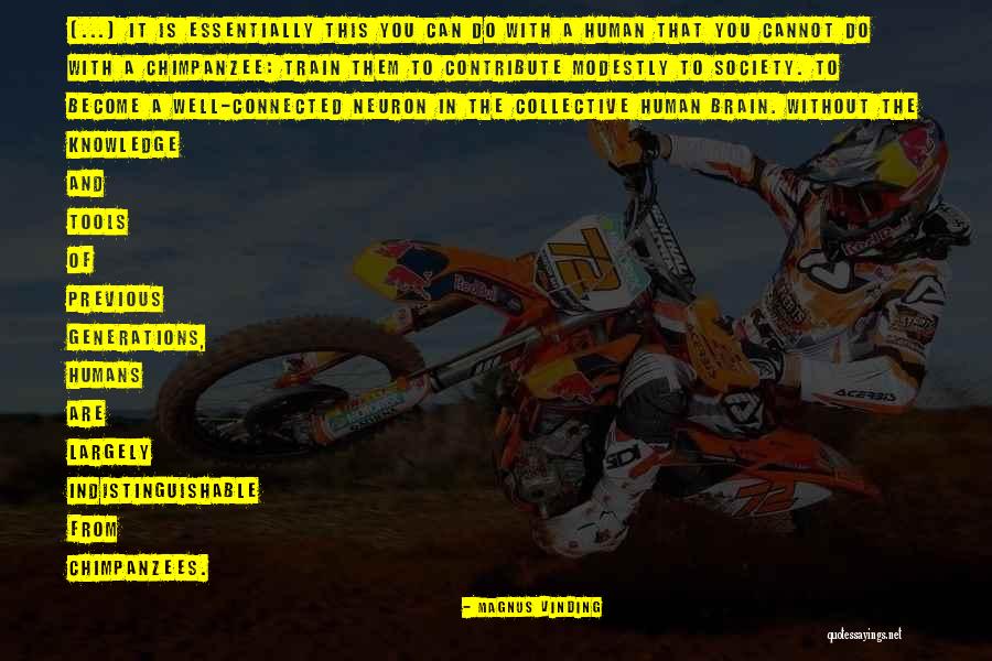 Morirasi Quotes By Magnus Vinding Morirasi Quotes By Magnus Vinding