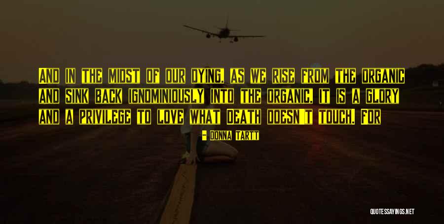 Moriring Quotes By Donna Tartt Moriring Quotes By Donna Tartt