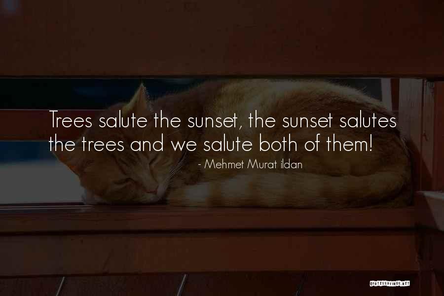Mork Orson Quotes By Mehmet Murat Ildan Mork Orson Quotes By Mehmet Murat Ildan