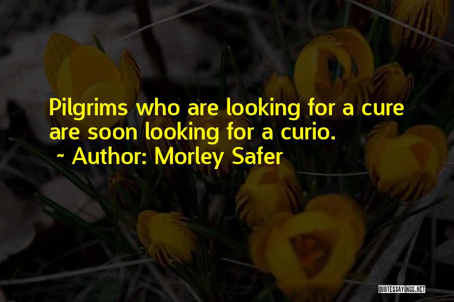 Morley Safer Quotes 1150251