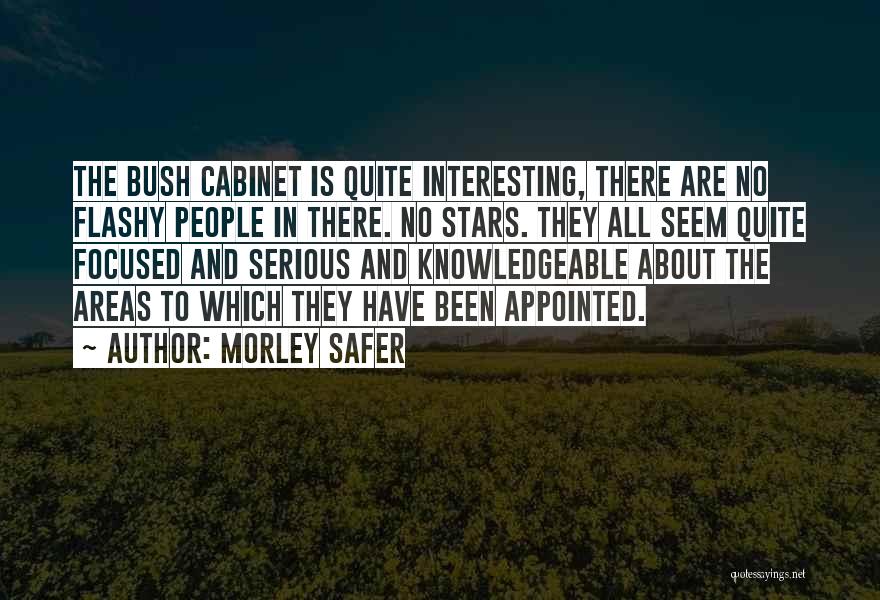 Morley Safer Quotes 863892