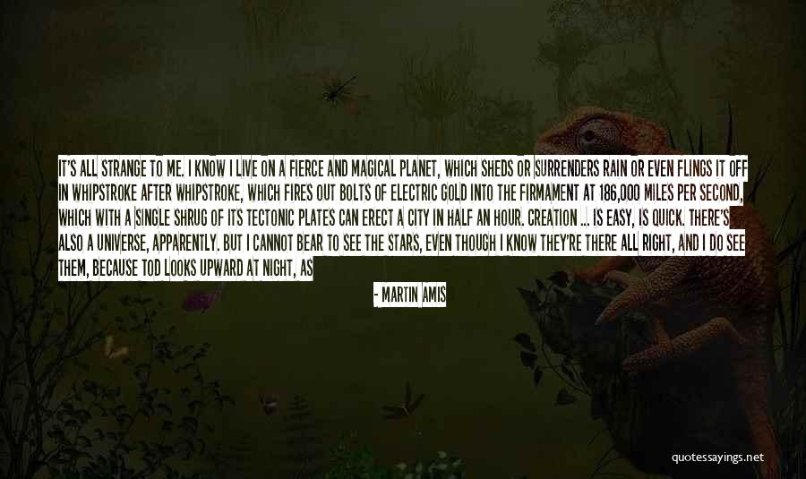 Morning After Night Quotes By Martin Amis Morning After Night Quotes By Martin Amis