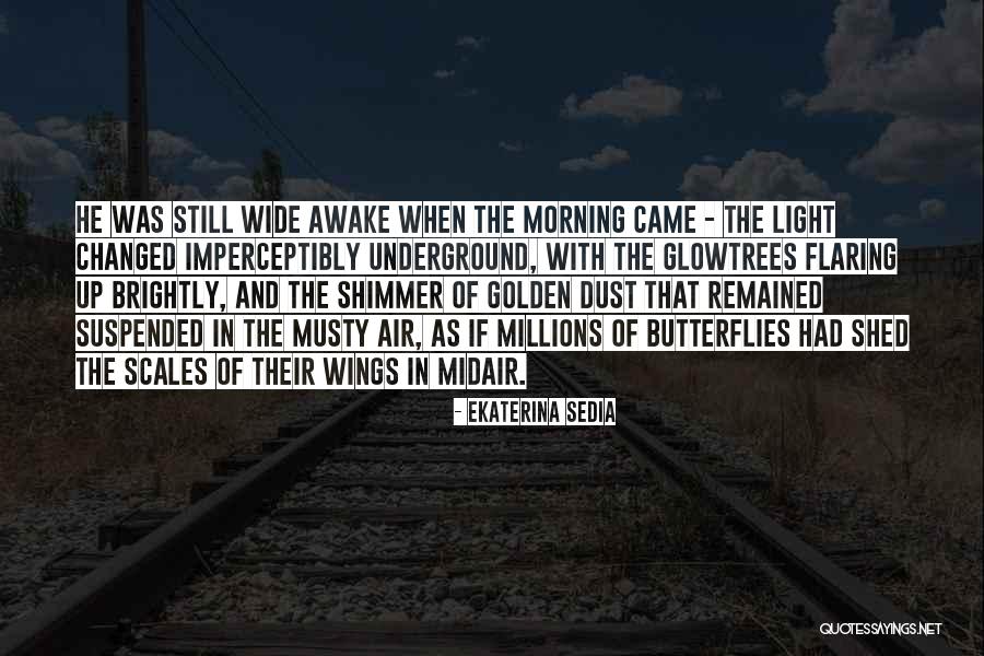 Morning Air Quotes By Ekaterina Sedia Morning Air Quotes By Ekaterina Sedia