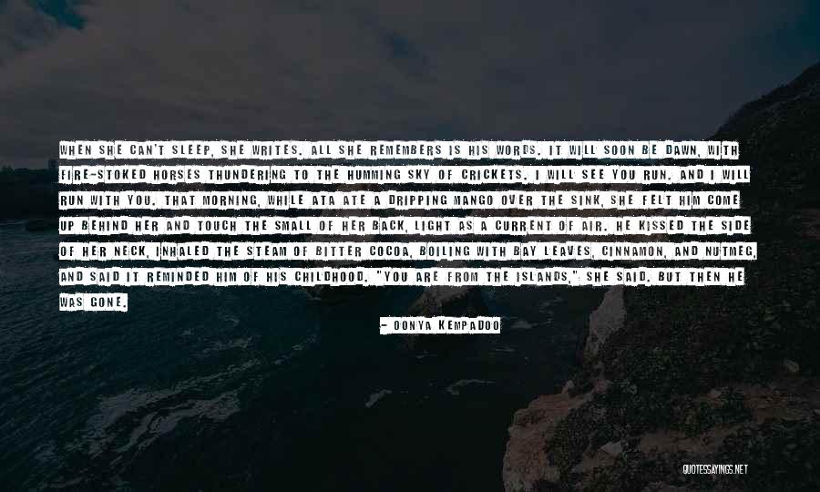 Morning Air Quotes By Oonya Kempadoo Morning Air Quotes By Oonya Kempadoo