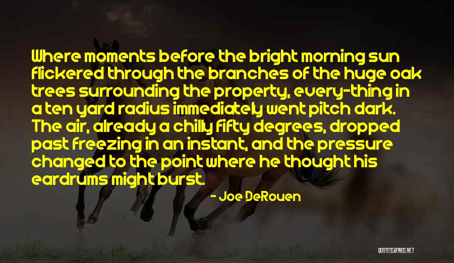 Morning Already Quotes By Joe DeRouen