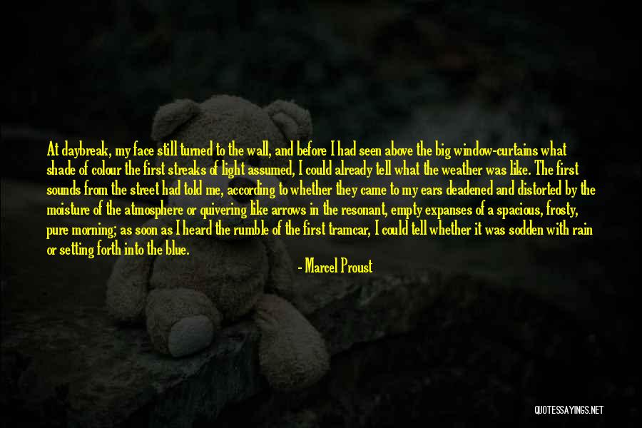 Morning Already Quotes By Marcel Proust