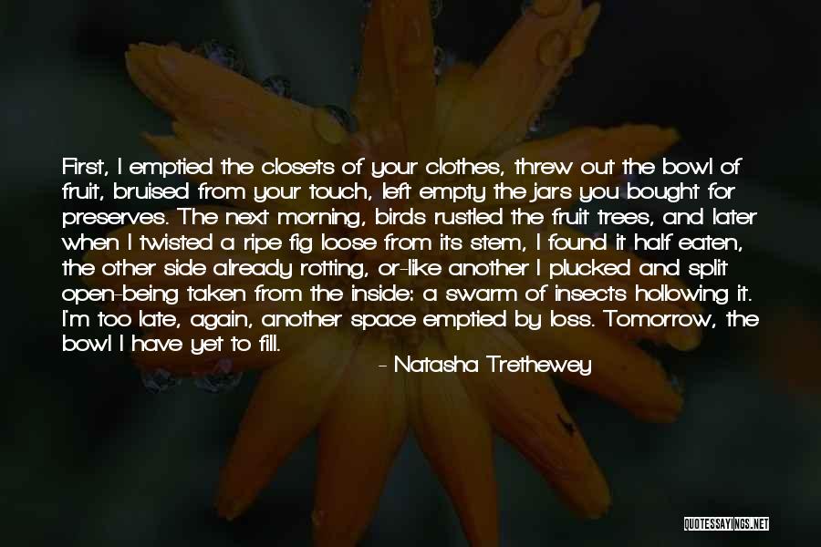 Morning Already Quotes By Natasha Trethewey Morning Already Quotes By Natasha Trethewey
