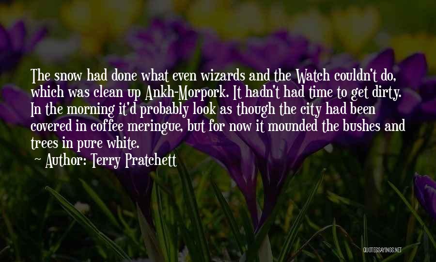 Morning And Coffee Quotes By Terry Pratchett